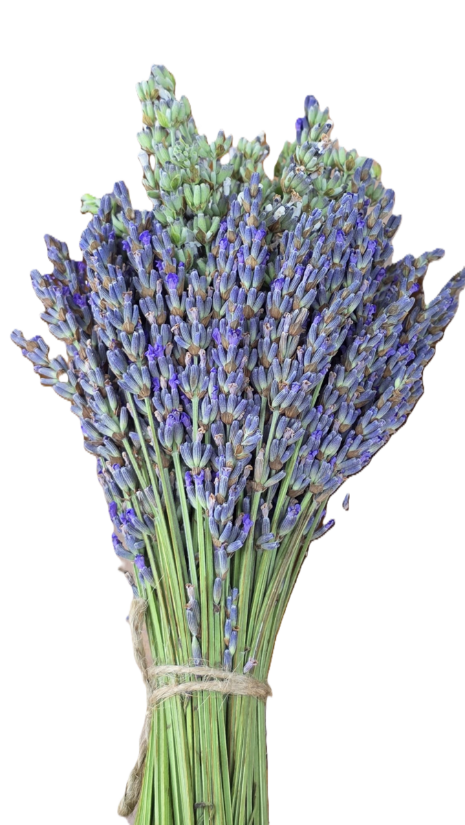 Buchet de lavandă