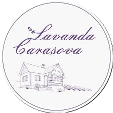 Lavanda Carasova
